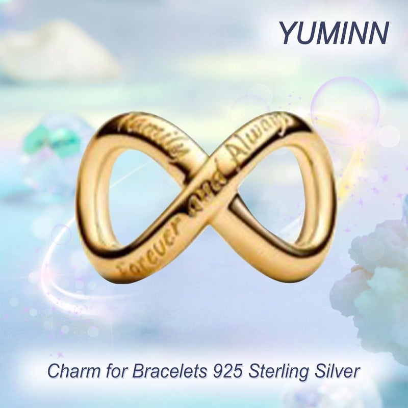 YUMINN 925 Sterling Silver Charms for Bracelets Gold Love and Heart Charms Cherry Blossom Dangle Beads Jewelry for Women - Image 2